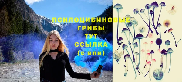 синтетический гашиш Богданович